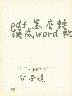 pdf 怎么转换成word 软件