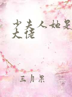 少夫人她是满级大佬