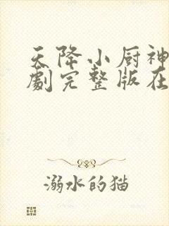 天降小厨神我短剧完整版在线观看