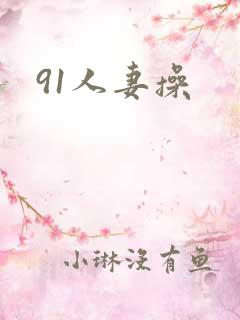 91人妻操