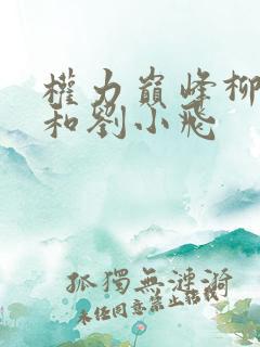 权力巅峰柳擎宇和刘小飞