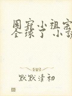 团宠小祖宗惊艳全球了 小说网