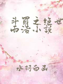 斗罗之绝世日月雨浩小说