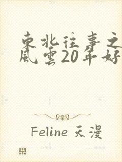 东北往事之黑道风云20年好看吗