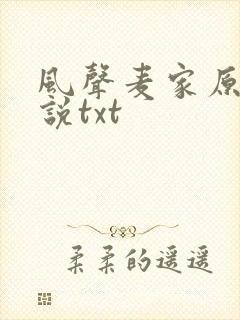 风声麦家原著小说txt
