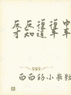 反反复复中追问才知道平平淡淡歌词