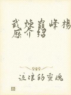 武炼巅峰杨开经历介绍