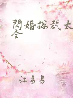 闪婚总裁太霸道全