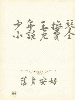 少年王抚琴的人小说免费全文阅读