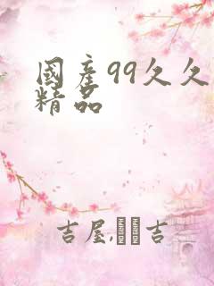 国产99久久久精品