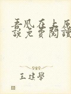 吾凰在上原著小说免费阅读