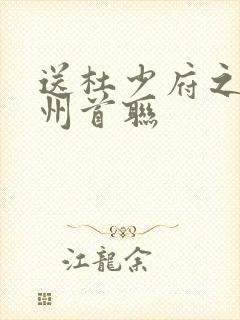 送杜少府之任蜀州首联