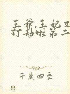 王爷,王妃又去打劫啦第二部