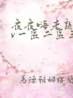 夜夜嗨老熟女av一区二区三区