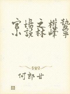 官场之权势滔天小说林峰宁欣