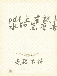 pdf上有试用水印怎么去除