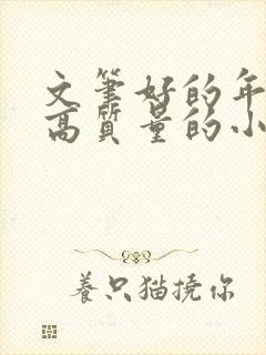 文笔好的年代文高质量的小说