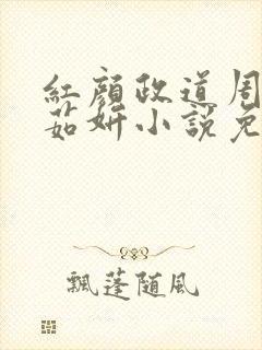 红颜政道周平丁茹妍小说免费阅读