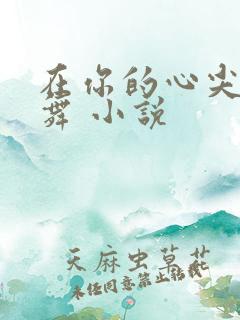在你的心尖上起舞 小说