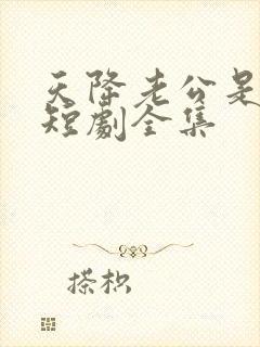 天降老公是大佬短剧全集