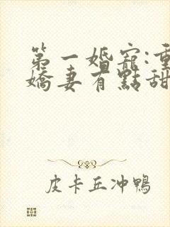 第一婚宠:重生娇妻有点甜 蓝九