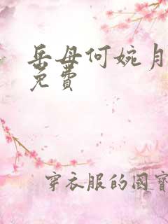 岳母何婉月小说免费