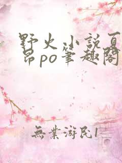野火小说夏布多昂po笔趣阁