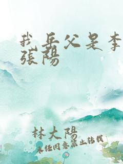 我岳父是李世民张阳