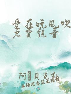 爱在晚风吹短剧免费观看