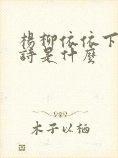 杨柳依依下一句诗是什么