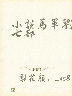 小说马军刘艳第七部