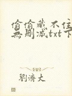 偷偷藏不住全文无删减txt下载