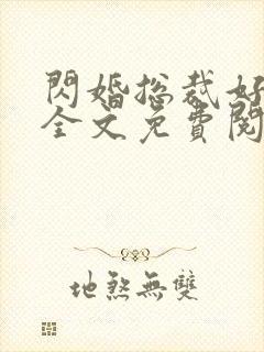 闪婚总裁好专情全文免费阅读
