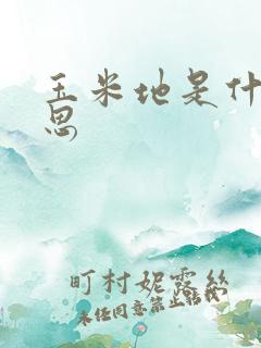 玉米地是什么意思