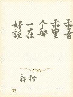 好一个乖乖女小说在哪里看