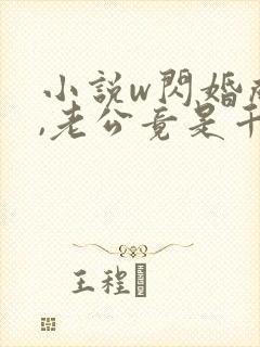 小说w闪婚成宠,老公竟是千亿大佬》