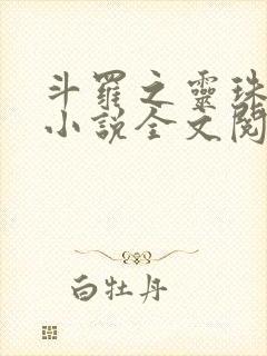 斗罗之灵珠神剑小说全文阅读