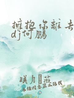 拥抱你离去原唱dj何鹏