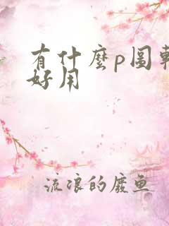 有什么p图软件好用