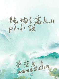 纯肉(高h.np)小说