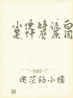 小便时流白液体是什么原因