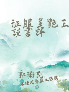 征服美艳王燕小说书评