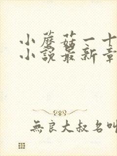 小蘑菇一十四洲小说最新章节列表列表