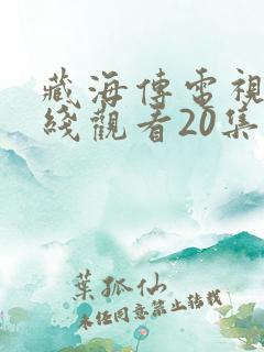 藏海传电视剧在线观看20集