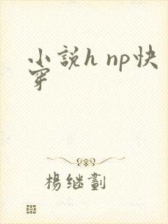 小说h np快穿