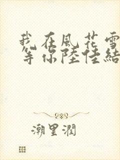我在风花雪月里等你陆佳结局