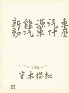 新能源汽车纯电动汽车什么牌子好