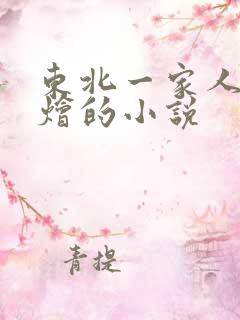 东北一家人大杂烩的小说