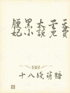 腹黑太子天降萌妃小说免费阅读
