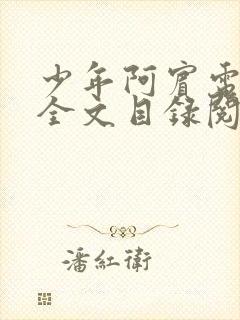 少年阿宾电子书全文目录阅读